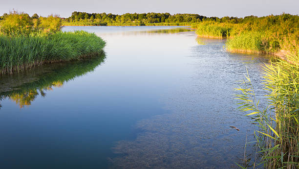 istock Kind on the river with green coast 120928538