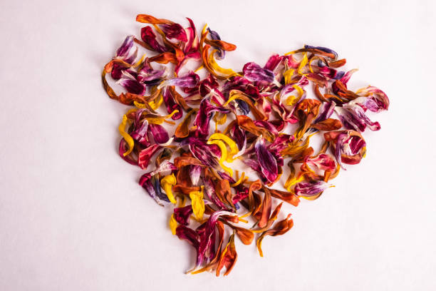 istock red heart of tulip petals on a white table 1209285455