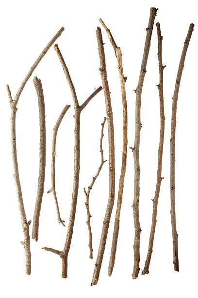 Sticks Sticks isolated on white background XXXL twig stock pictures, royalty-free photos & images