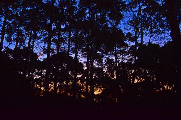istock Dusk landscape in Campo Alegre 1209287564