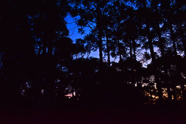 istock Dusk landscape in Campo Alegre 1209287634