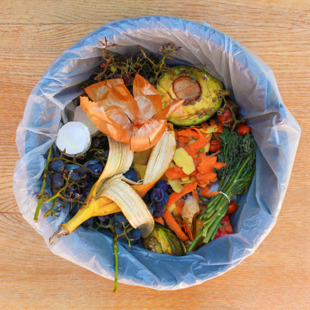 istock Domestic waste for compost from fruits and vegetables in garbage bin. 1209287844