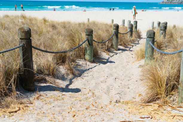 Beach access between rope and bollards across sand path. Beach access between rope and bollards across sand path at main beach Mount Maunganui, New Zealand. mount maunganui stock pictures, royalty-free photos & images