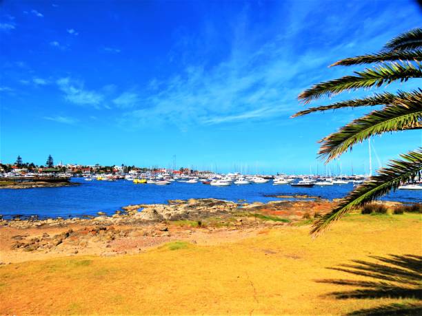 istock The Punta del Este Port in sunny day. 1209289090