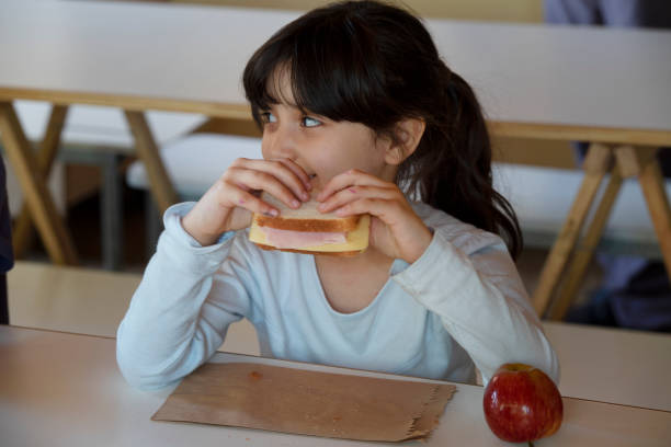 Girl at school having lunch. stock photo