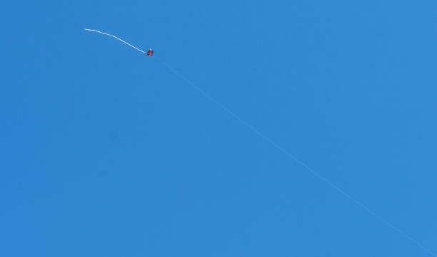 istock The Dominican kite 1209298296
