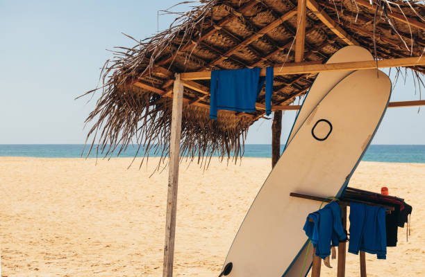 istock Surfboards rental point under palm leaves canopy. Surf boards in a stack by ocean sandy beach. 1209298492