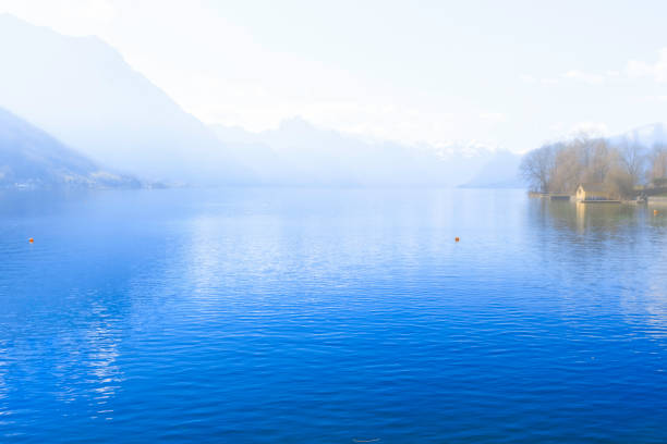 Beautiful View of Bavarian Alpine lake