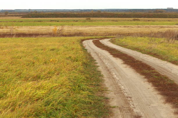 istock Winding country road 1209303567