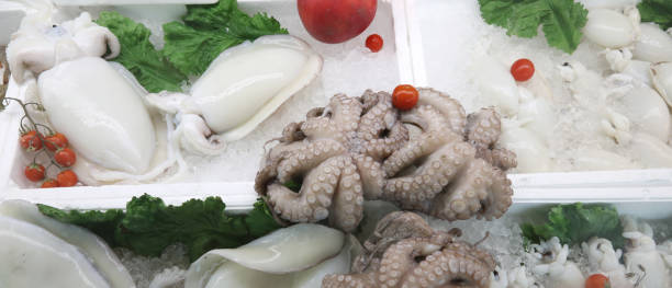 istock freshly caught octopus and fresh white cuttlefish for sale 1209304392