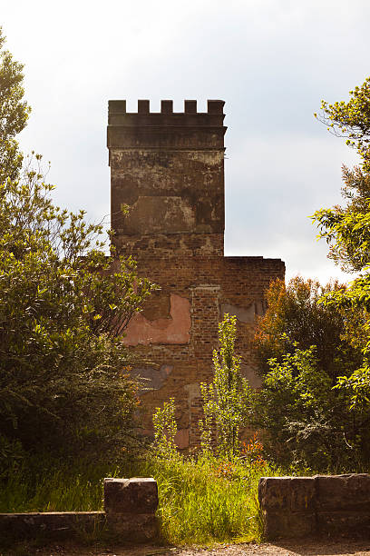 istock Tower of old ruin, burned down old school against sky 120930564