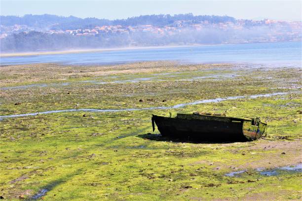stara drewniana łódź na brzegu. zdjęcie - marina lake nautical vessel water zdjęcia i obrazy z banku zdjęć