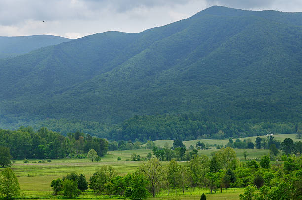 istock Cades Cove vista 120931041