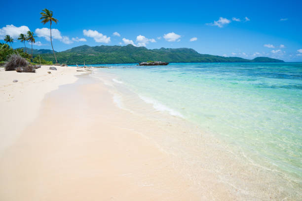 istock Wonderful Caribbean beach in Samana peninsula 1209312065