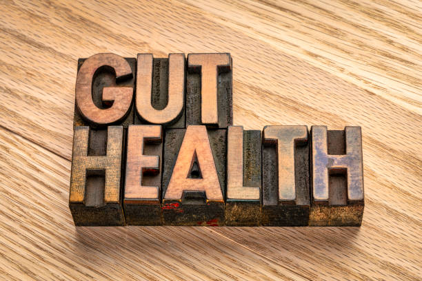 istock gut health in wood type 1209312970