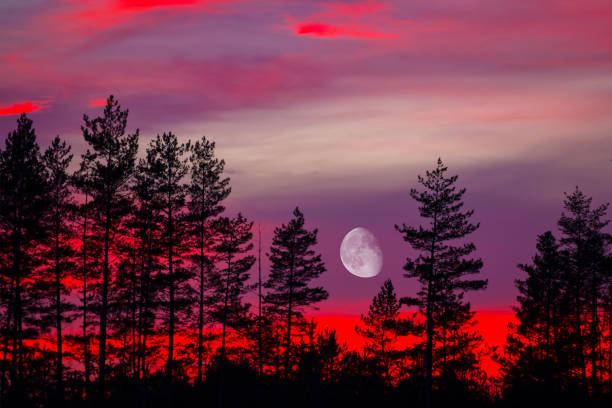 Islam Night Isra miraj Namaz Sky Moon Cloud Sunset Background Mubaruk Greeting Islam Ramadan Element Masjid Aqsa Hajj Kaaba Umrah Eid Arabian Religion Islamic Arab Muslim Greeting Umrah Celebration.