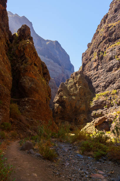 istock Famous canyon Masca at Tenerife - Canary 1209319300