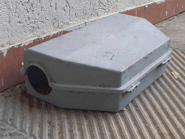 istock mousetrap near a concrete wall 1209322143