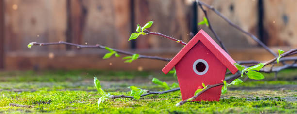 istock Miniature red wooden bird house, tree branches with fresh leaves, spring Easter background, banner 1209323833