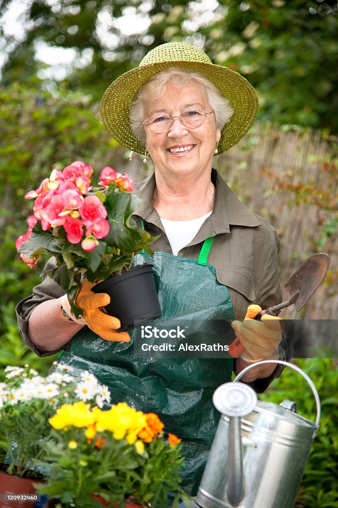 Smiling senior woman gardening Senior woman with a pot of flowers in her garden Active Lifestyle Stock Photo