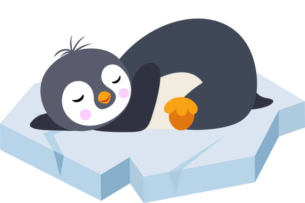 3,989 Little Penguin Illustrations & Clip Art - iStock | Little penguin  australia, Little penguin maria island