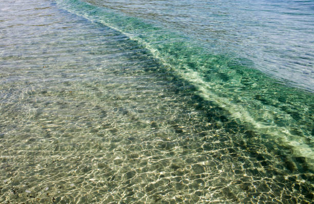 the bay of Saint Tropez in the south of France