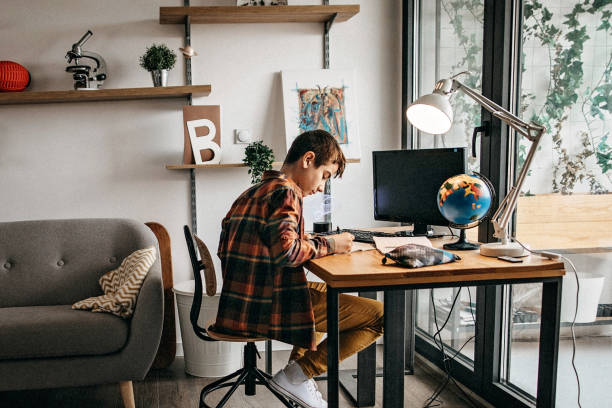 istock Teenage boy doing homework at home 1209336134