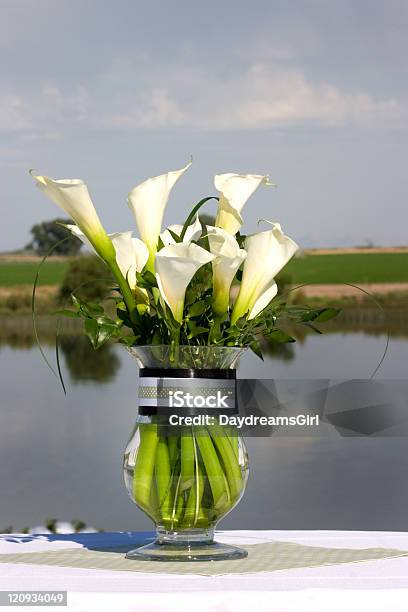 Lilies And Water Stock Photo - Download Image Now - Beauty In Nature, Black Color, Bouquet