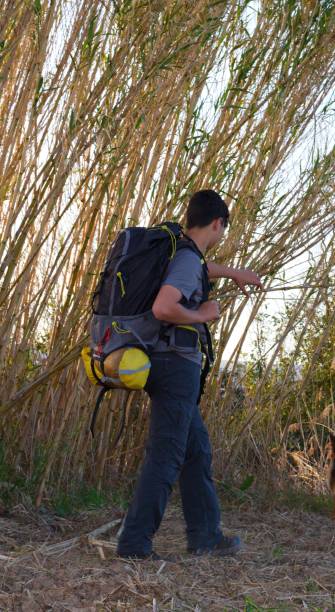 istock photograph of boy with hiking backpack with his backpack on his back 1209345533