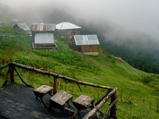 Karadeniz Pictures | Download Free Images on Unsplash