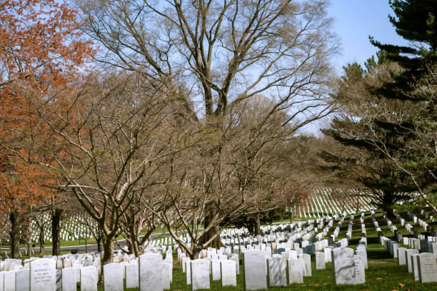 Springtime at Arlington Cemetery Arlington, VA, USA. April 2, 2019. Rows of cemetery stones at Arlington Cemetery during springtime. arlington cemetery in spring stock pictures, royalty-free photos & images
