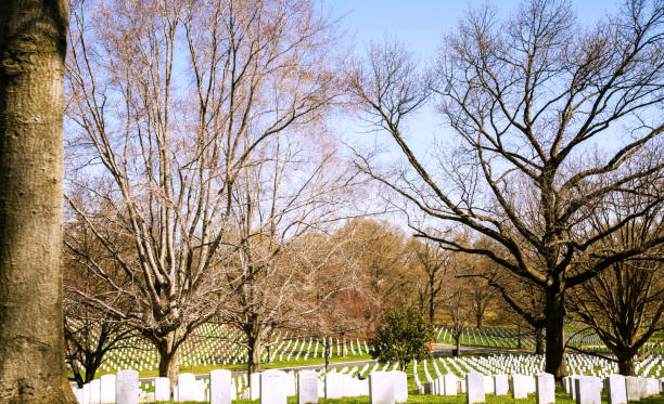Springtime at Arlington Cemetery Arlington, VA, USA. April 2, 2019. Rows of cemetery stones at Arlington Cemetery during springtime. A person in an orange shirt walks on a sidewalk in the background. arlington cemetery in spring stock pictures, royalty-free photos & images