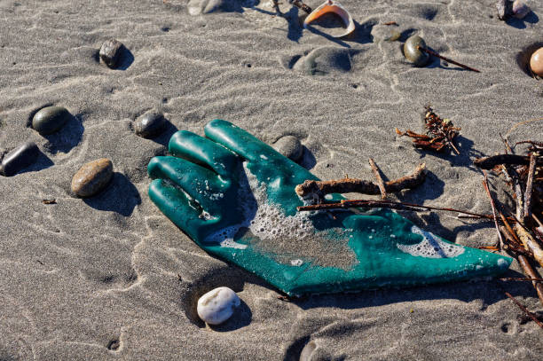 Green rubber glove washed up on a beach on New Zealand's west coast