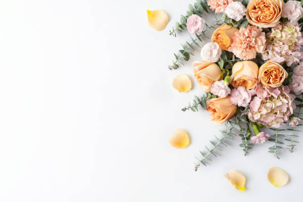 장미, 수국, 카네이션과 유칼립투스 잎의 세련된 꽃 테두리. - bouquet rose wedding flower 뉴스 사진 이미지