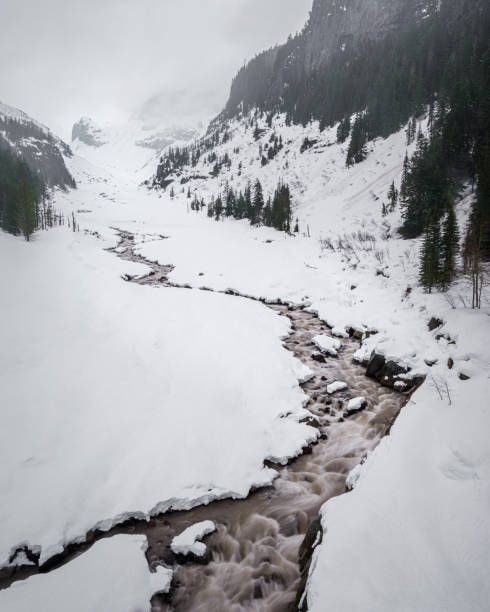 An image of a river in Mr. Rainer National Park.