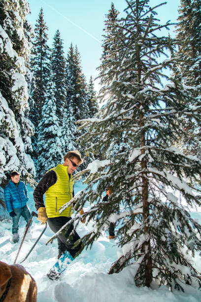 istock Middle-Age Male Standing in the Deep Snow Preparing to Cut Down a Christmas Tree with His Family On a Mountain Landscape 1209364924