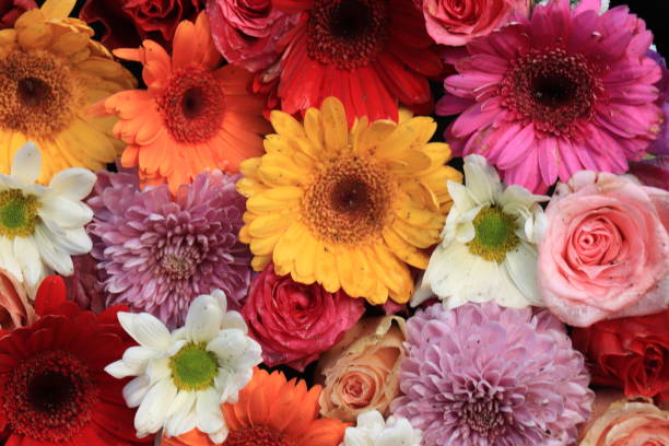 istock Colorful wedding flower arrangement 1209365170