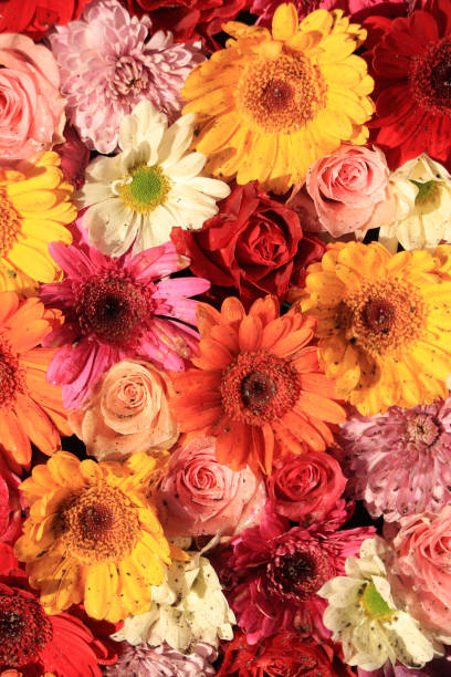 istock Colorful wedding flower arrangement 1209366446