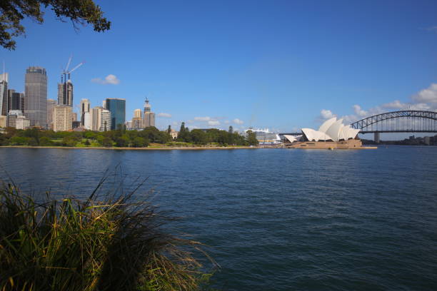 istock Sydney Harbour forshore viewed from Botanical Gardens 1209369137