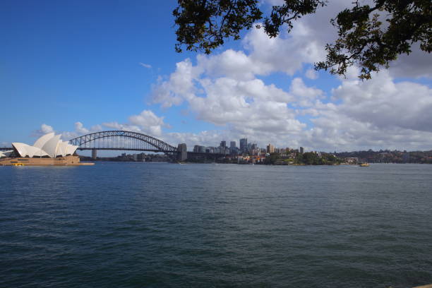 istock Sydney Harbour forshore viewed from Botanical Gardens 1209369186