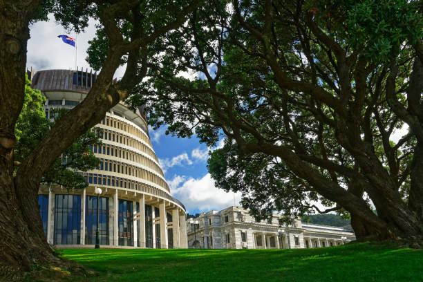 The Beehive - New Zealand parliament building viewed through trees The Beehive - New Zealand parliament building with flag flying on a sunny day viewed through trees beehive new zealand stock pictures, royalty-free photos & images