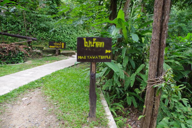 istock Mae Ya Waterfall in Doi Inthanon National Park 1209378283