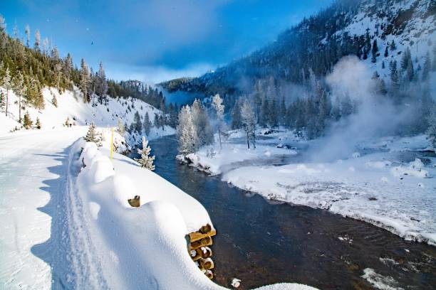 Geyser venting steam in Yellowstone winter