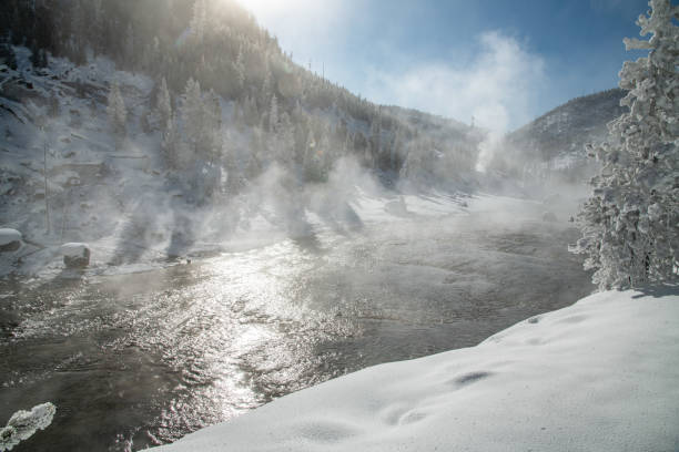 istock Geyser venting steam in Yellowstone winter 1209379166
