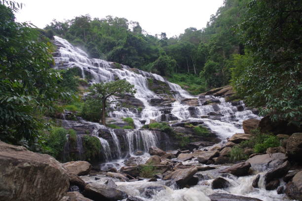 istock Mae Ya Waterfall in Doi Inthanon National Park 1209381098