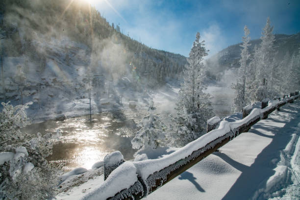 istock Geyser venting steam in Yellowstone winter 1209381261