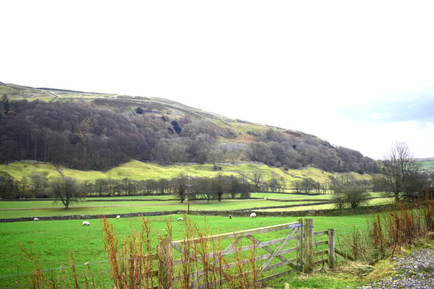 istock The Yorkshire Dales view from Arkengarthdale 1209382084