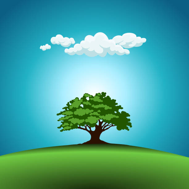 ilustrações, clipart, desenhos animados e ícones de carvalho fica em paisagem verde no céu azul. - deciduous tree tree trunk nature the natural world