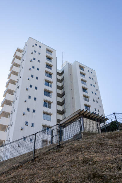 190+ Hino Tokio Fotos Fotografías de stock, fotos e imágenes libres de