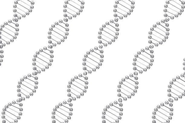 Science Concept. Rows of MEtal DNA Molecule Spiral on a white background. 3d Rendering